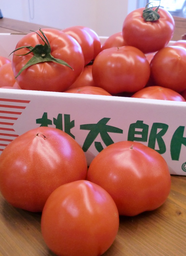 岡田ファームの桃太郎トマト